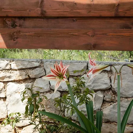 Apartament Zdena