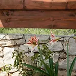 Apartament Zdena