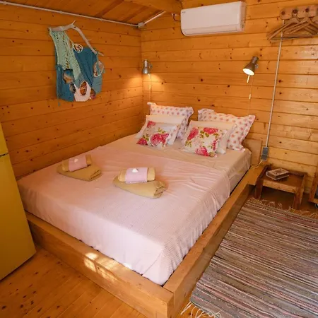 Zdena * Rogač