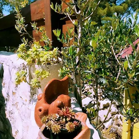 Apartamento Zdena Rogač